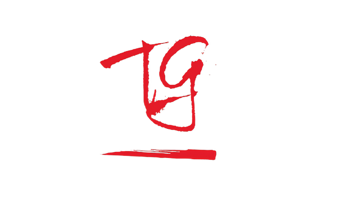 TecSoUI Logo